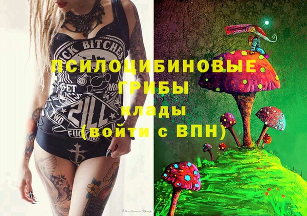 твердый Алзамай