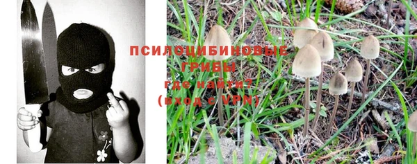 2c-b Алексин