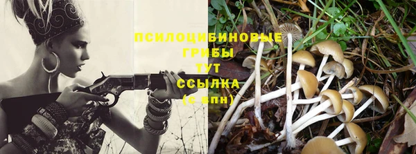 тгк Алексеевка