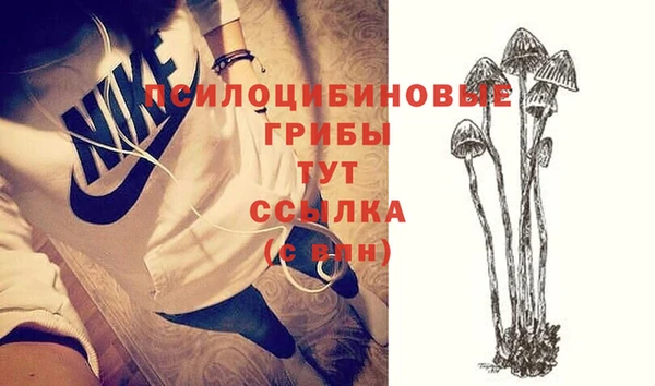 твердый Алзамай