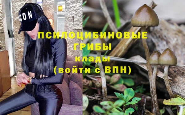 тгк Алексеевка