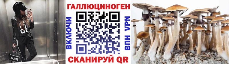 Псилоцибиновые грибы Cubensis  darknet наркотические препараты  Тулун  купить наркоту 