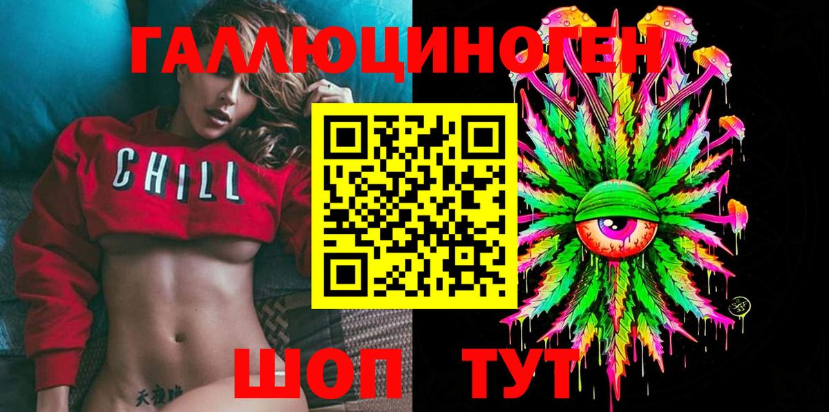 Галлюциногенные грибы Psilocybe  Вход с VPN  Тулун 