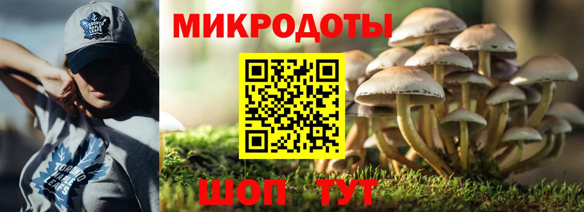 Псилоцибиновые грибы Cubensis Тулун