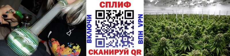 Бошки марихуана индика  MEGA tor  Тулун  сколько стоит 